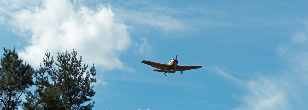 avion